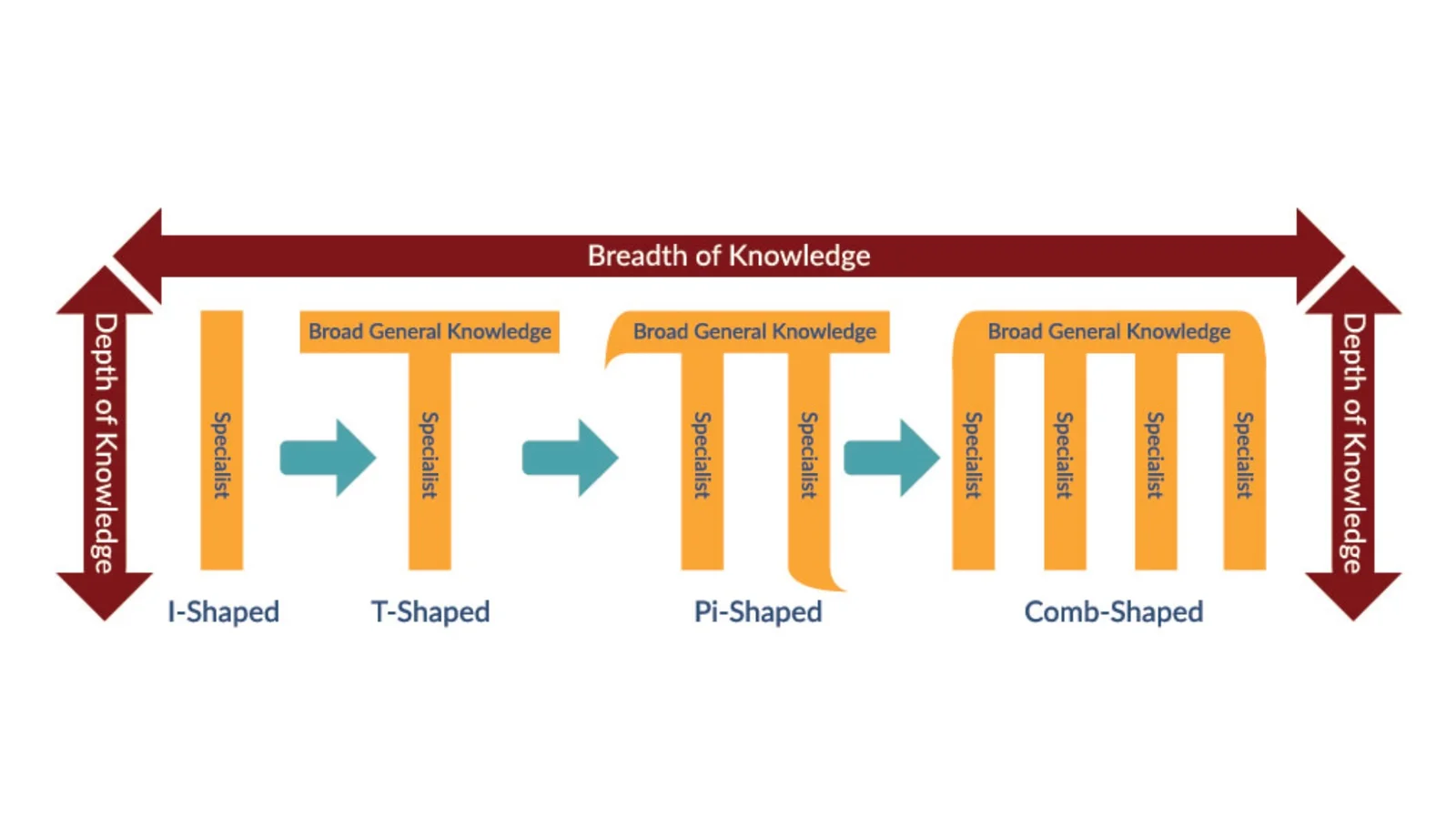 Chart of depth vs. breadth of knowledge — I-shaped and T-shaped skill profiles